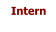 Intern