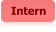 Intern